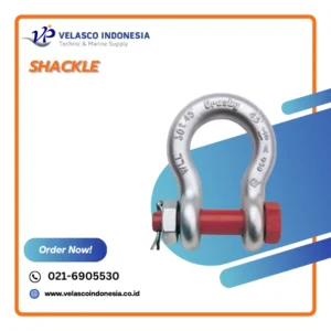 Shackle Shackle